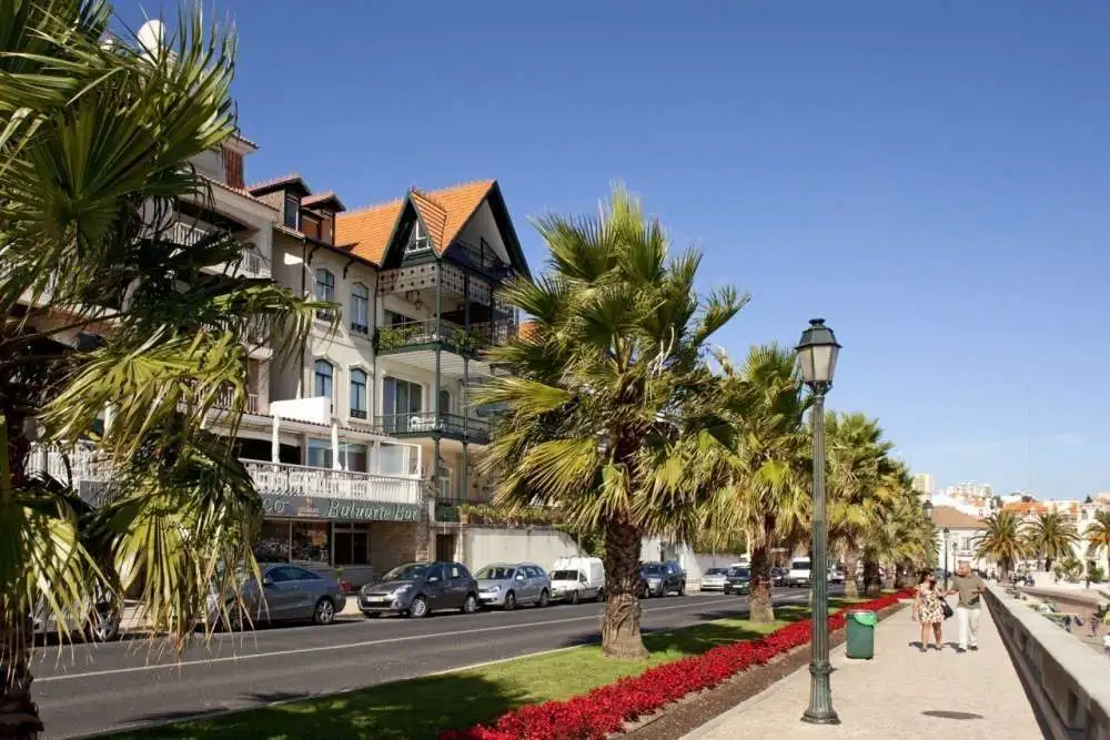 Palmeras en la bahía de Cascais, Portugal