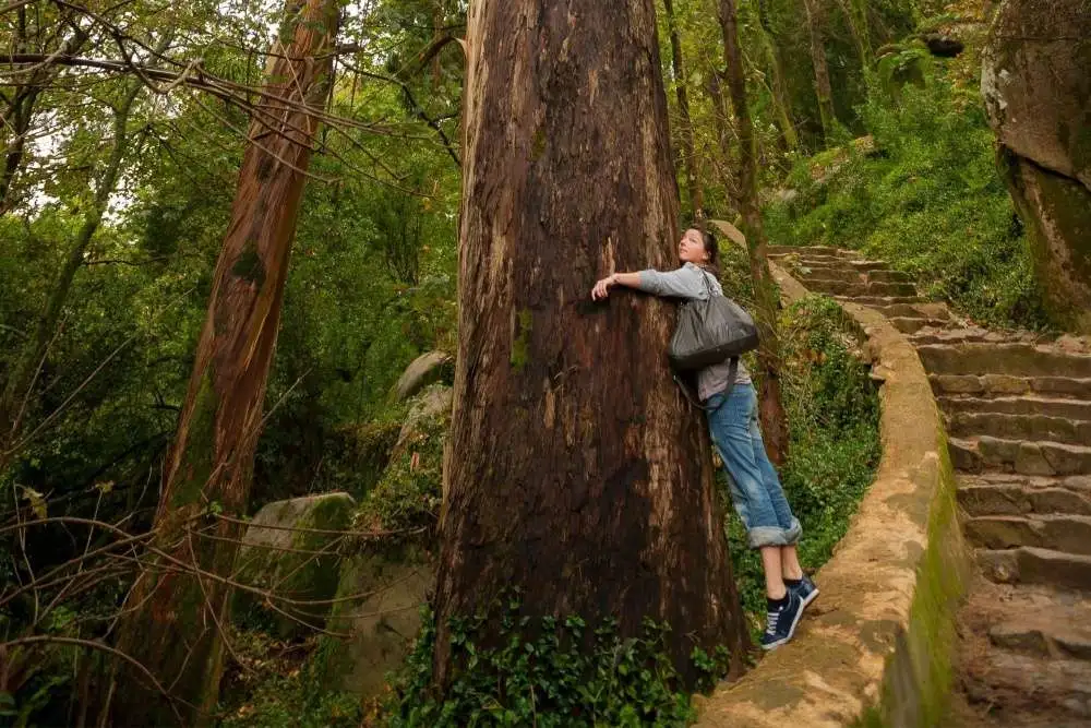 Viajero en un camino en el Parque de la Pena en Sintra, Portugal